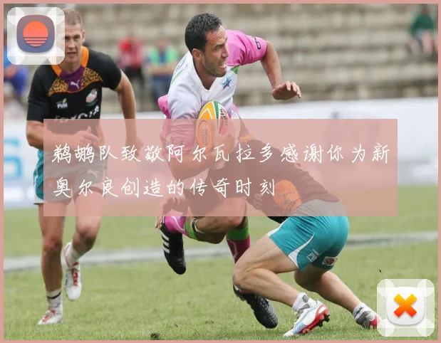 鹈鹕队致敬阿尔瓦拉多感谢你为新奥尔良创造的传奇时刻