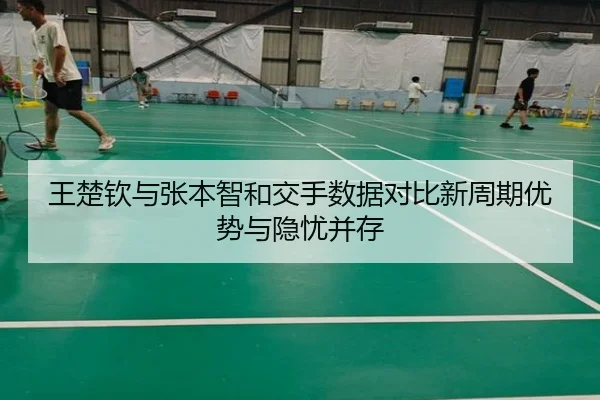 王楚钦与张本智和交手数据对比新周期优势与隐忧并存（hth）